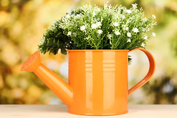 Decorative flowers in watering can on bright background — Stock Photo, Image