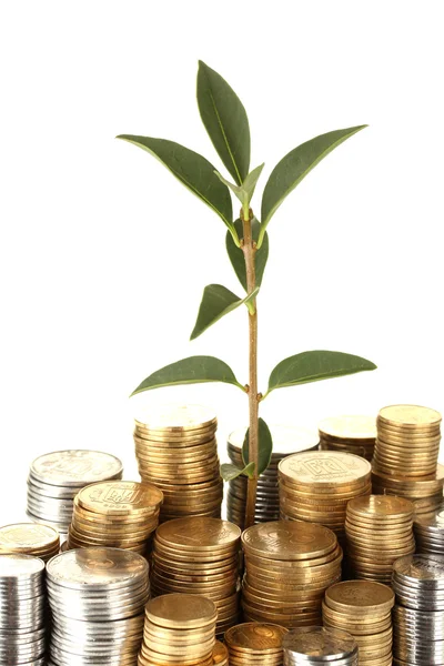 Plant growing out of gold and silver coins on white background close-up — Stock Photo, Image