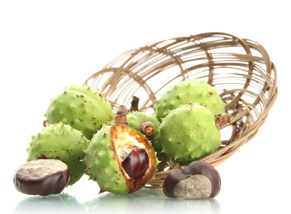 Green chestnuts in basket, isolated on white — Stock Photo, Image