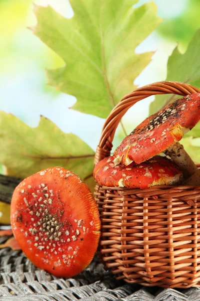 Amanitas rojas en cesta, sobre fondo verde — Foto de Stock