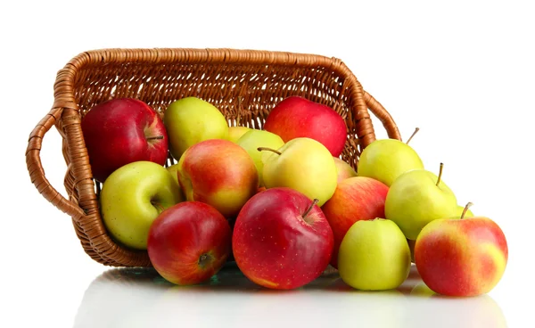 Manzanas jugosas en cesta, aisladas en blanco —  Fotos de Stock