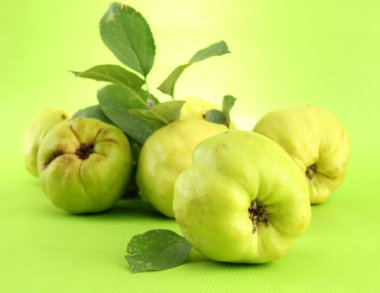 yapraklarda yeşil arka plan ile tatlı ayvaları