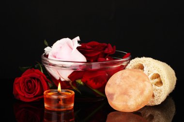 siyah üzerine izole lif kabağı