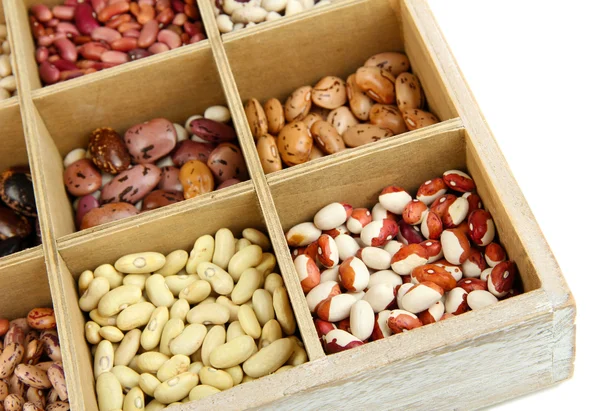 Diverse beans in wooden box sections isolated on white — Stock Photo, Image