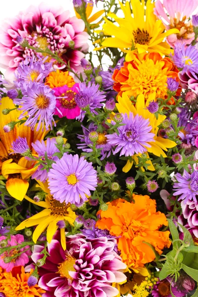 Piękny bukiet jasnych kwiatów zbliżenie — Zdjęcie stockowe
