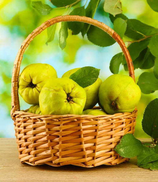Sweet quinces with leaves in basket, on green background — Stock Photo, Image