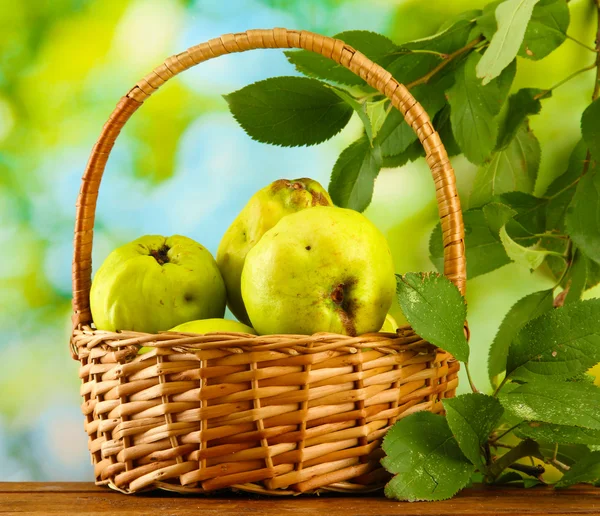 Marmelos doces com folhas em cesta, em fundo verde — Fotografia de Stock