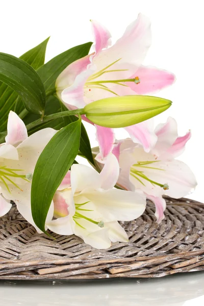 Krásné lilie izolovaných na bílém — Stock fotografie