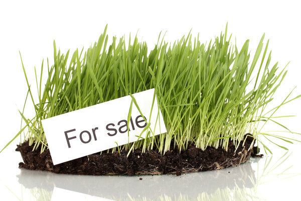 Green grass with ground as concept of land sale isolated on white