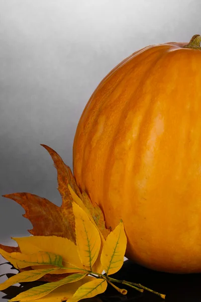 Ripe orange pumpkin with yellow autumn leaves on grey background close-up — Stock Photo, Image