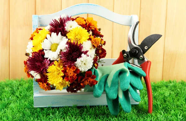 Gartenschere mit Blumen in Schachtel auf Zaun Hintergrund — Stockfoto
