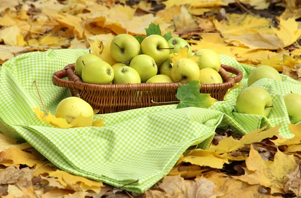 Cesta de manzanas frescas maduras en el jardín en hojas de otoño — Foto de Stock