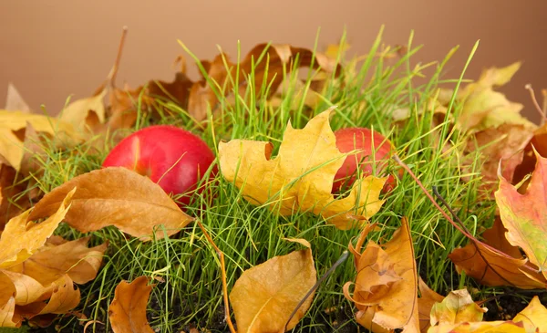 Pommes sur fond d'herbe — Photo