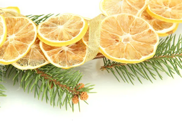 Ghirlanda natalizia di limoni secchi con abete isolato su bianco — Foto Stock