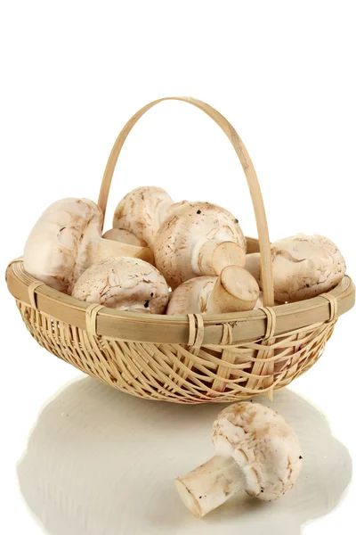 흰색 절연 바구니에 신선한 버섯 — 스톡 사진