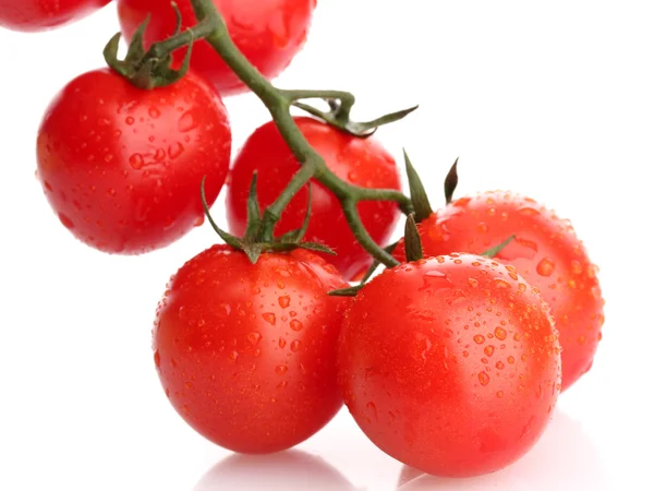 Tomates cherry en una rama con gotas aisladas en blanco — Foto de Stock