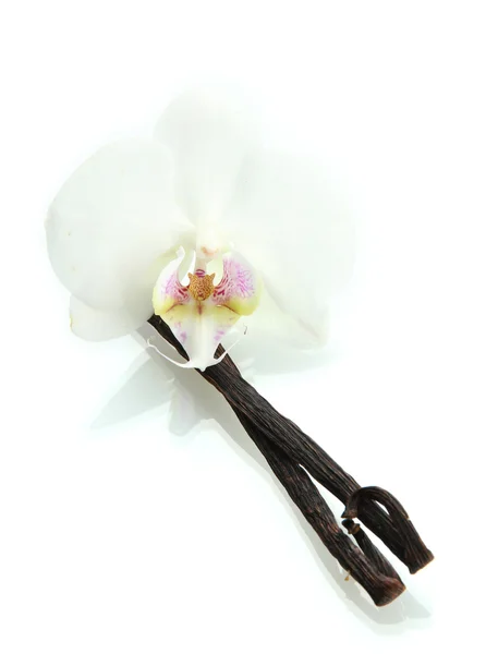 Vanilla pods with flower isolated on white — Stock Photo, Image