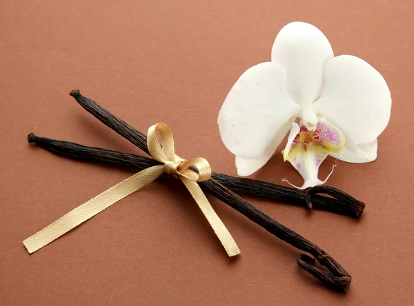 Ванільні стручки з квіткою, на коричневому фоні — стокове фото