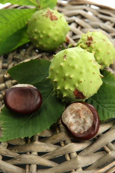 Castanhas com folhas no fundo de vime — Fotografia de Stock