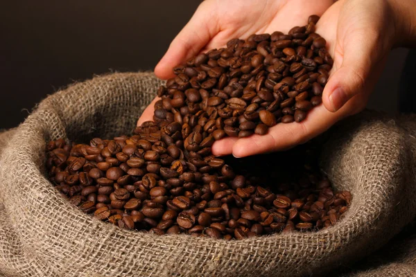 Grãos de café nas mãos sobre fundo escuro — Fotografia de Stock