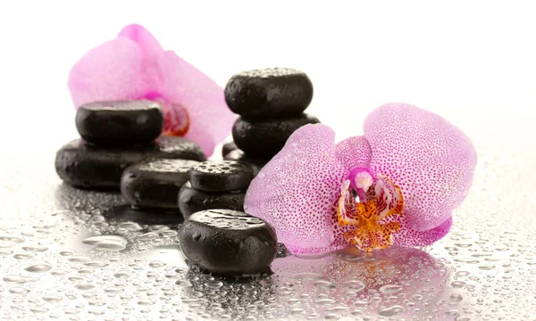 Piedras de spa y flores de orquídea, sobre fondo húmedo — Foto de Stock