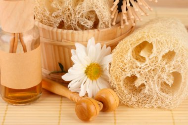 renkli arka plan üzerinde lif kabağı