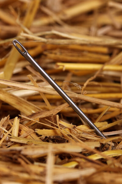 Needle in a haystack close-up
