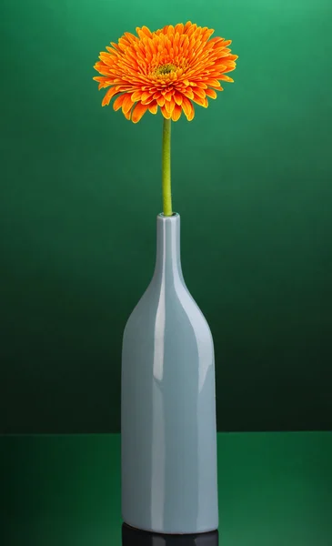 Bella gerbera in vaso su sfondo verde — Foto Stock