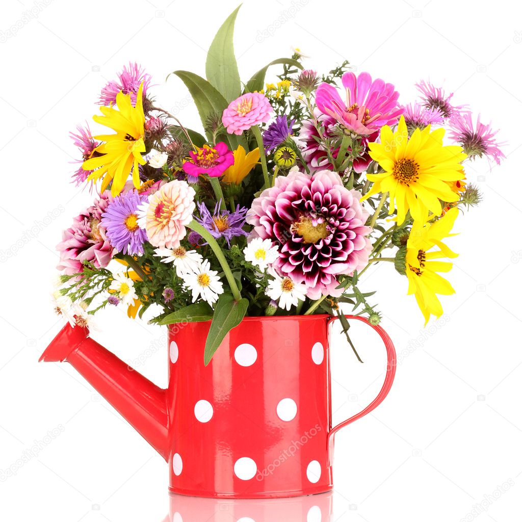 Beautiful bouquet of bright flowers in watering can isolated on white ...