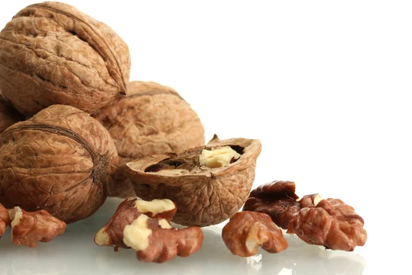 Nueces, aisladas sobre blanco — Foto de Stock