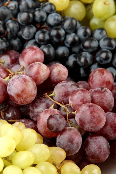 Sortimento de uvas doces maduras, close up — Fotografia de Stock