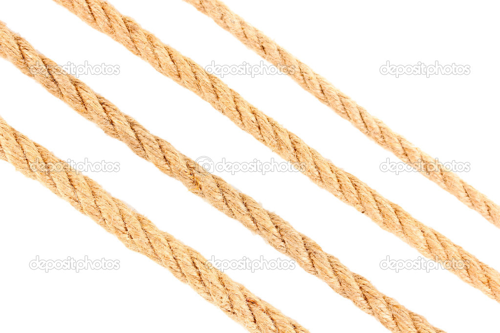 Collection of various ropes isolated on white — Stock Photo ...