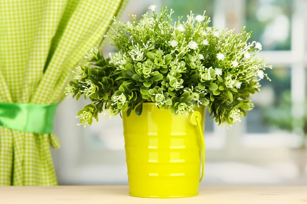 Decoratieve bloemen in pot op de vensterbank — Stockfoto