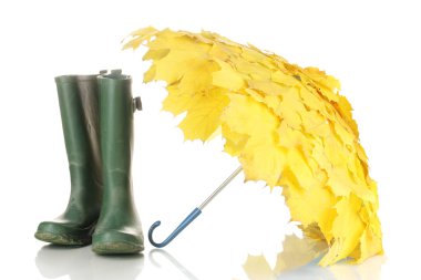 akçaağaç yaprakları şemsiye ile üzerine beyaz izole yeşil gumboots