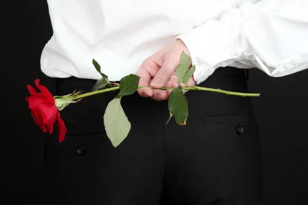 Man holding rose close-up — Stock Photo, Image