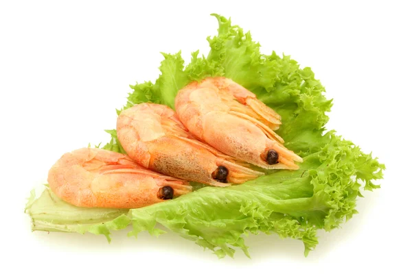 Boiled shrimps on lettuce leaves, isolated on white — Stock Photo, Image