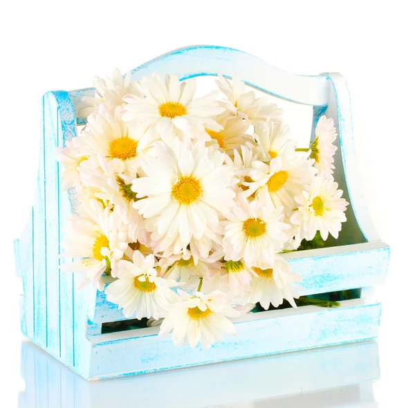 Květiny v dřevěné krabici, izolované na bílém — Stock fotografie