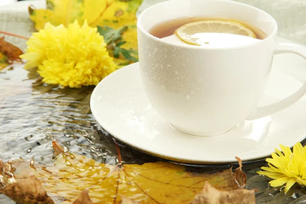Kopje warme drank te nemen en de herfst bladeren, close-up — Stockfoto