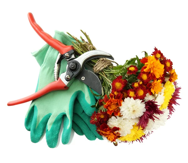 Secateurs üzerinde beyaz izole çiçekli — Stok fotoğraf