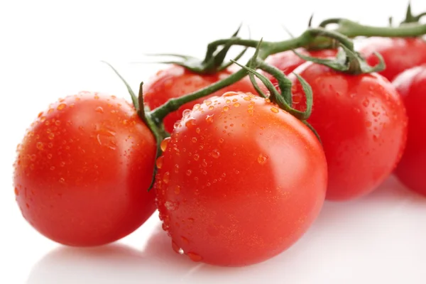 Tomates cherry en una rama con gotas aisladas en blanco —  Fotos de Stock