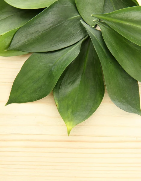 Beautiful green leaves, on wooden background — Stock Photo, Image