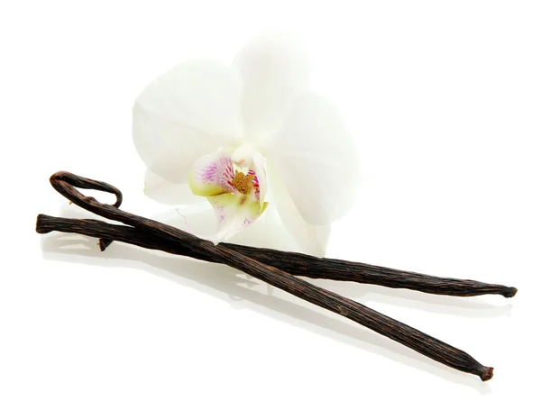 Vanilla pods with flower isolated on white — Stock Photo, Image