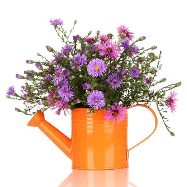 Beautiful bouquet of purple flowers in watering can isolated on white — Stock Photo, Image