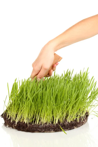 Grama verde com chão como conceito de venda de terras isoladas em branco — Fotografia de Stock