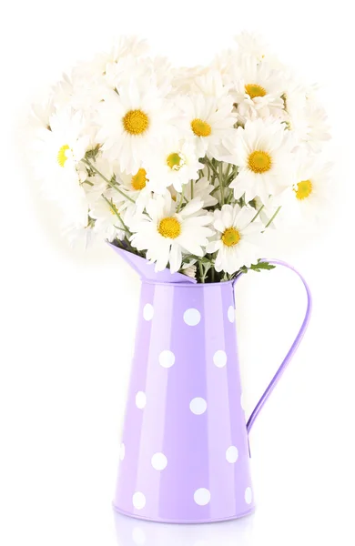 Daisies in vase isolated on white — Stock Photo, Image
