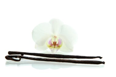 çiçekli beyaz izole vanilya pods