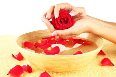 su arıtma için eller, yakın çekim