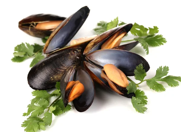 Mussels in shell with fresh herbs isolated on white — Stock Photo, Image