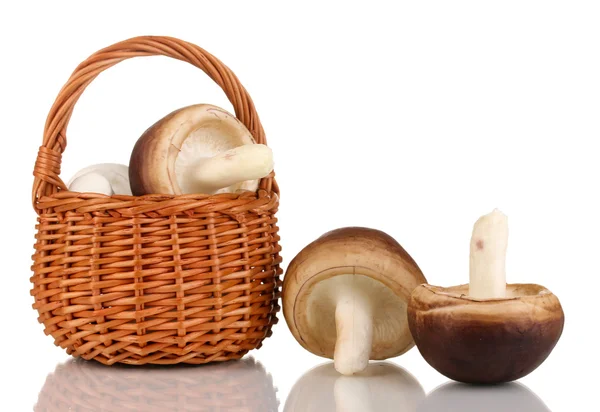 Champignons frais dans le panier isolé sur blanc — Photo