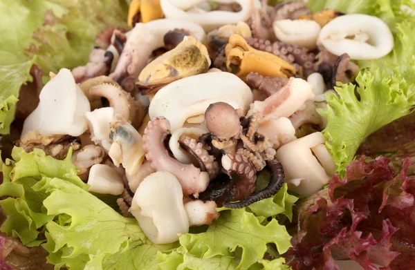 健康的海鲜沙拉配虾、 章鱼、 贻贝、 鱿鱼背景 — 图库照片